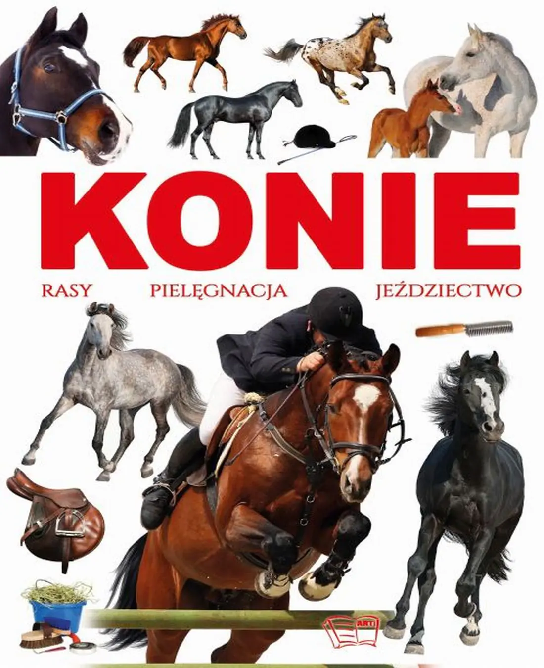 Książka - Konie. Rasy, pielęgnacja, jeździectwo