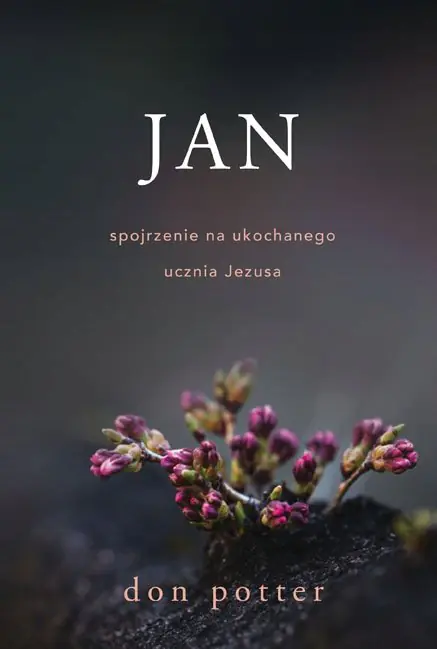 Książka - Jan. Spojrzenie na ukochanego ucznia Jezusa