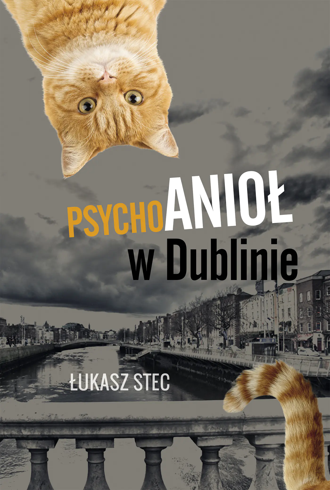 Książka - Psychoanioł w Dublinie