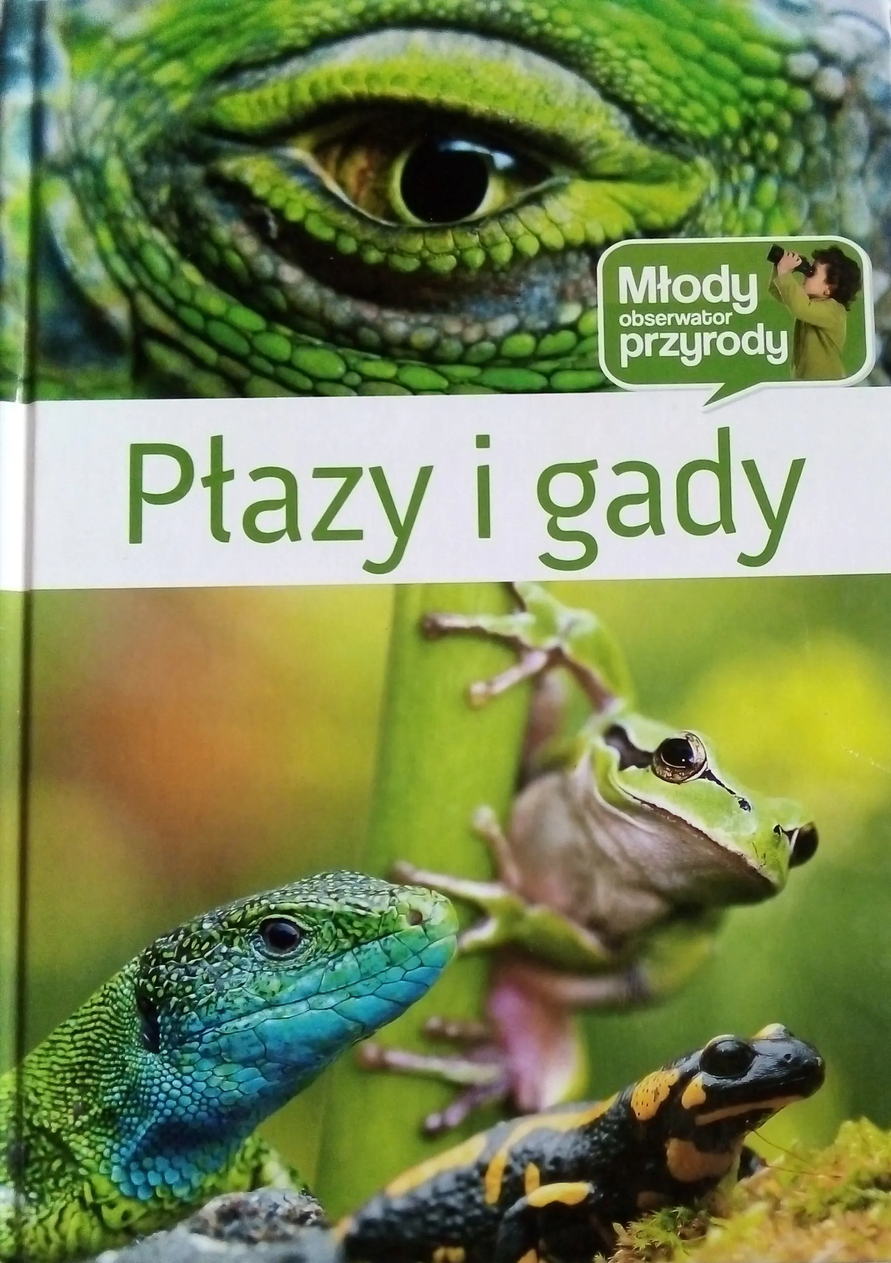 Książka - Płazy i gady Młody obserwator przyrody