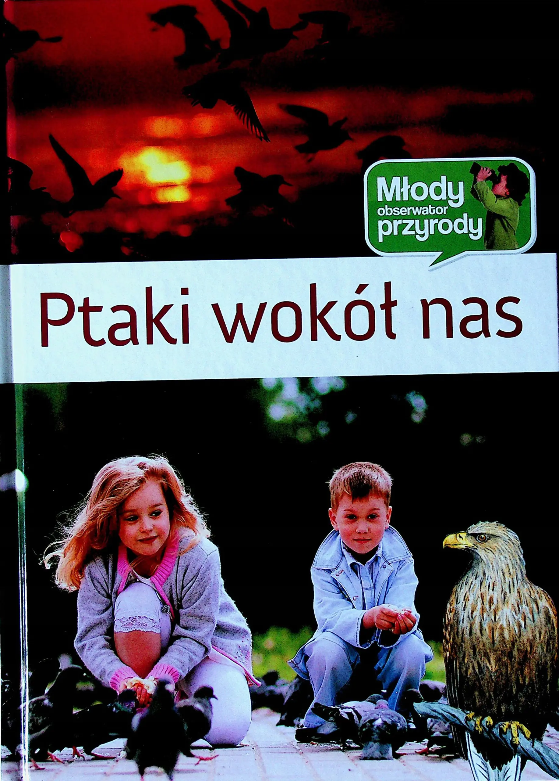 Ptaki. Młody obserwator przyrody