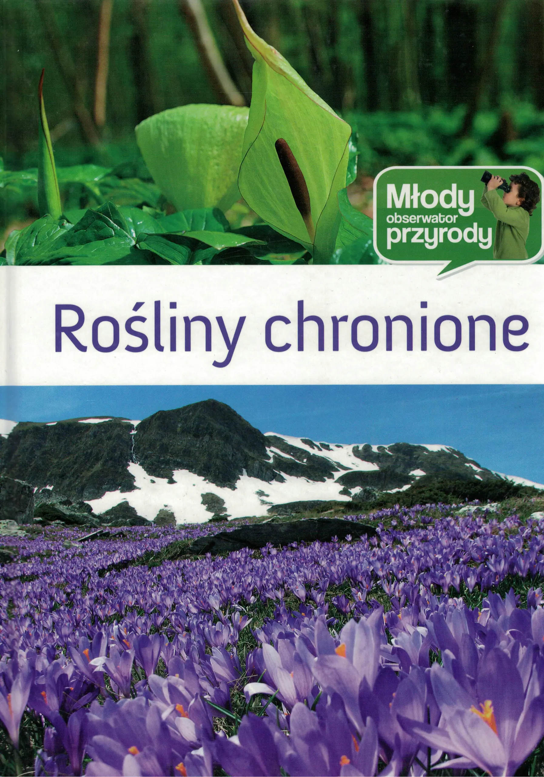 Książka - Rośliny chronione Młody obserwator przyrody