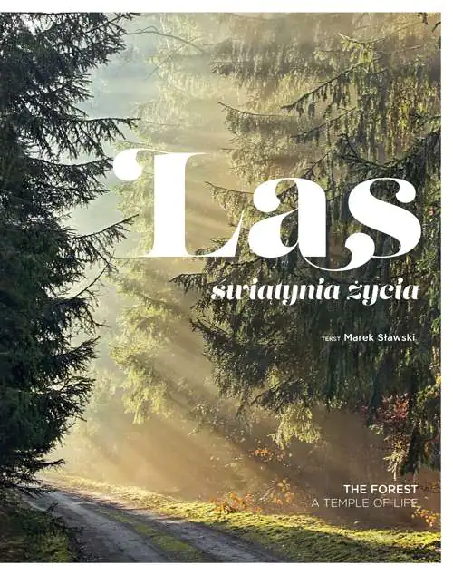 Książka - Las. Świątynia życia
