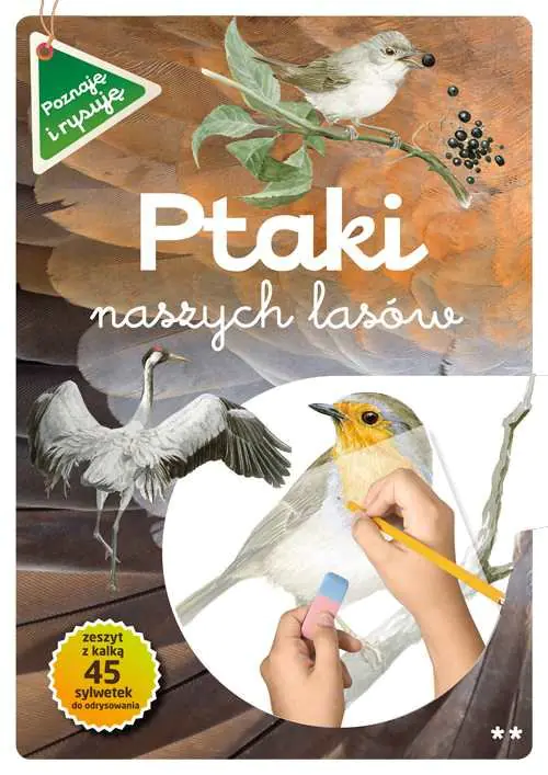 Książka - Poznaję i rysuję. Ptaki naszych lasów cz.2