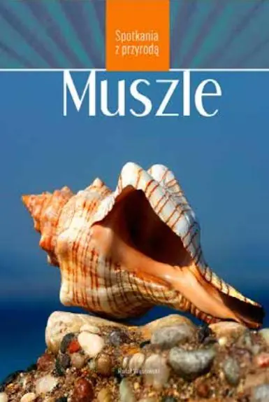 Książka - Muszle
