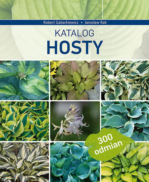 Książka - Katalog hosty