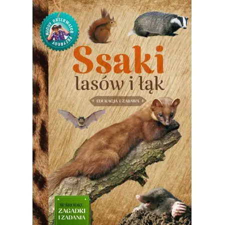 Ssaki lasów i łąk