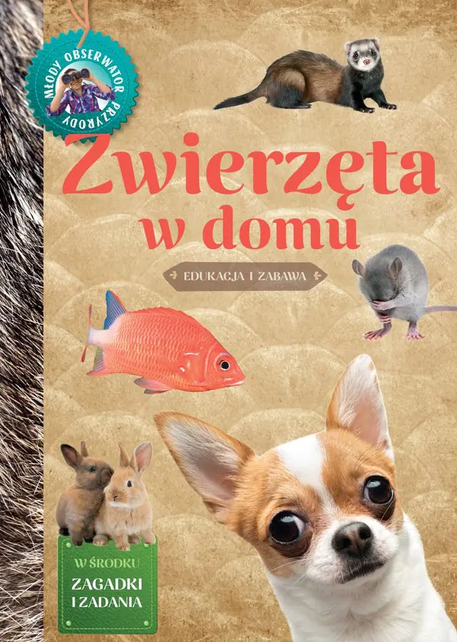 Książka - Młody obserwator przyrody. Zwierzęta w domu