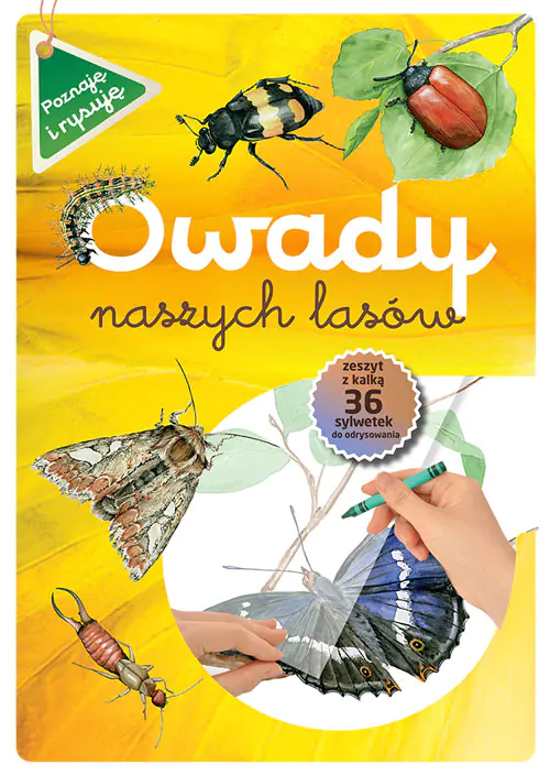 Książka - Owady naszych lasów