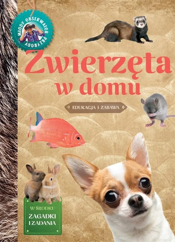Książka - Młody Obserwator Przyrody. Zwierzęta w domu