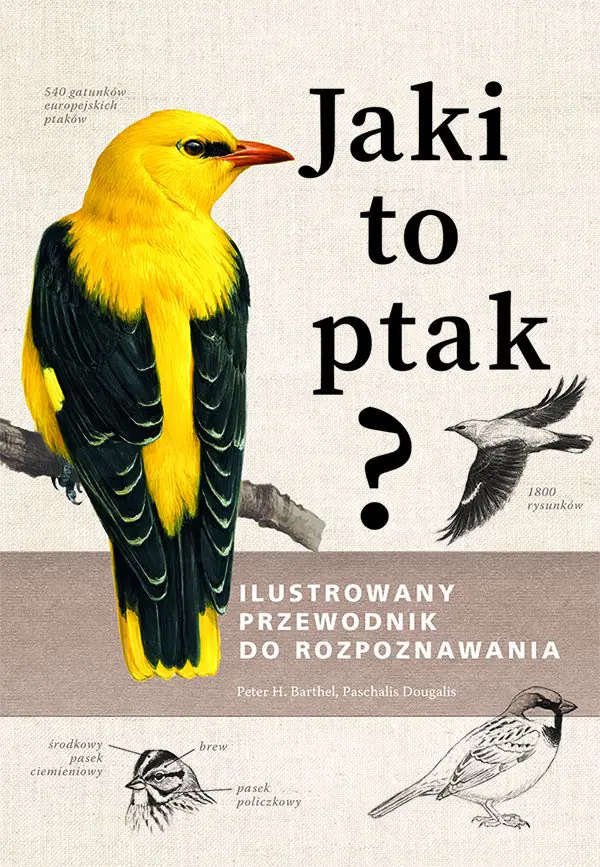 Książka - Jaki to ptak? Ilustrowany przewodnik do rozpoznawania