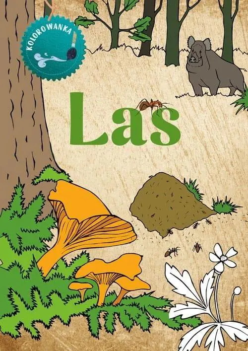 Książka - Las. Kolorowanka