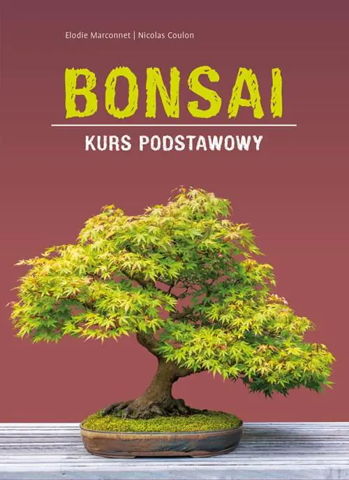 Książka - Bonsai. Kurs podstawowy