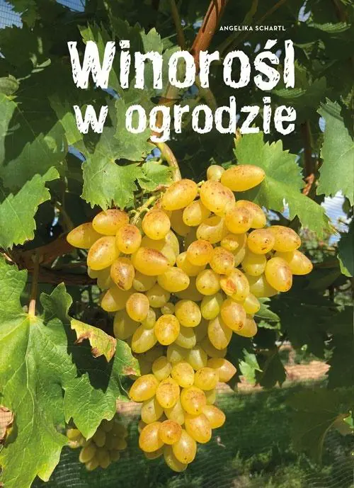 Książka - Winorośl w ogrodzie