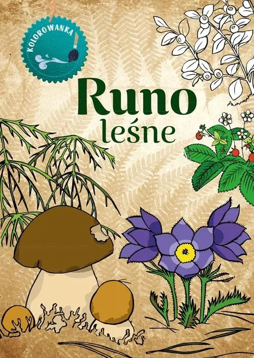 Książka - Runo leśne. Kolorowanka