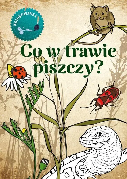Książka - Co w trawie piszczy. Kolorowanka