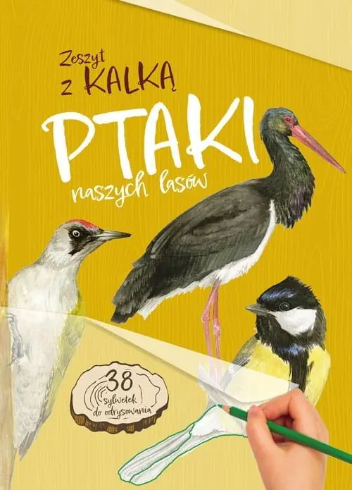 Książka - Ptaki naszych lasów. Zeszyt z kalką