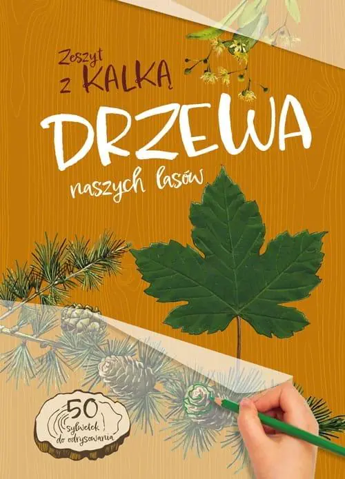 Książka - Drzewa naszych lasów. Zeszyt z kalką