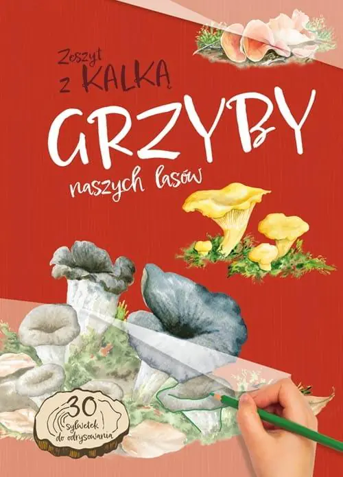 Książka - Grzyby naszych lasów. Zeszyt z kalką