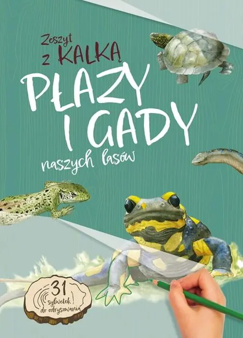 Książka - Płazy i gady naszych lasów. Zeszyt z kalką