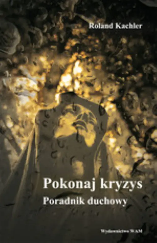 Książka - Pokonaj kryzys