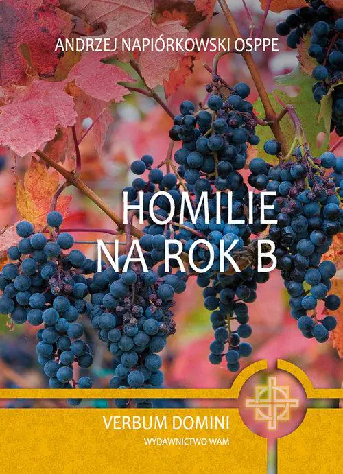 Książka - Homilie na rok B