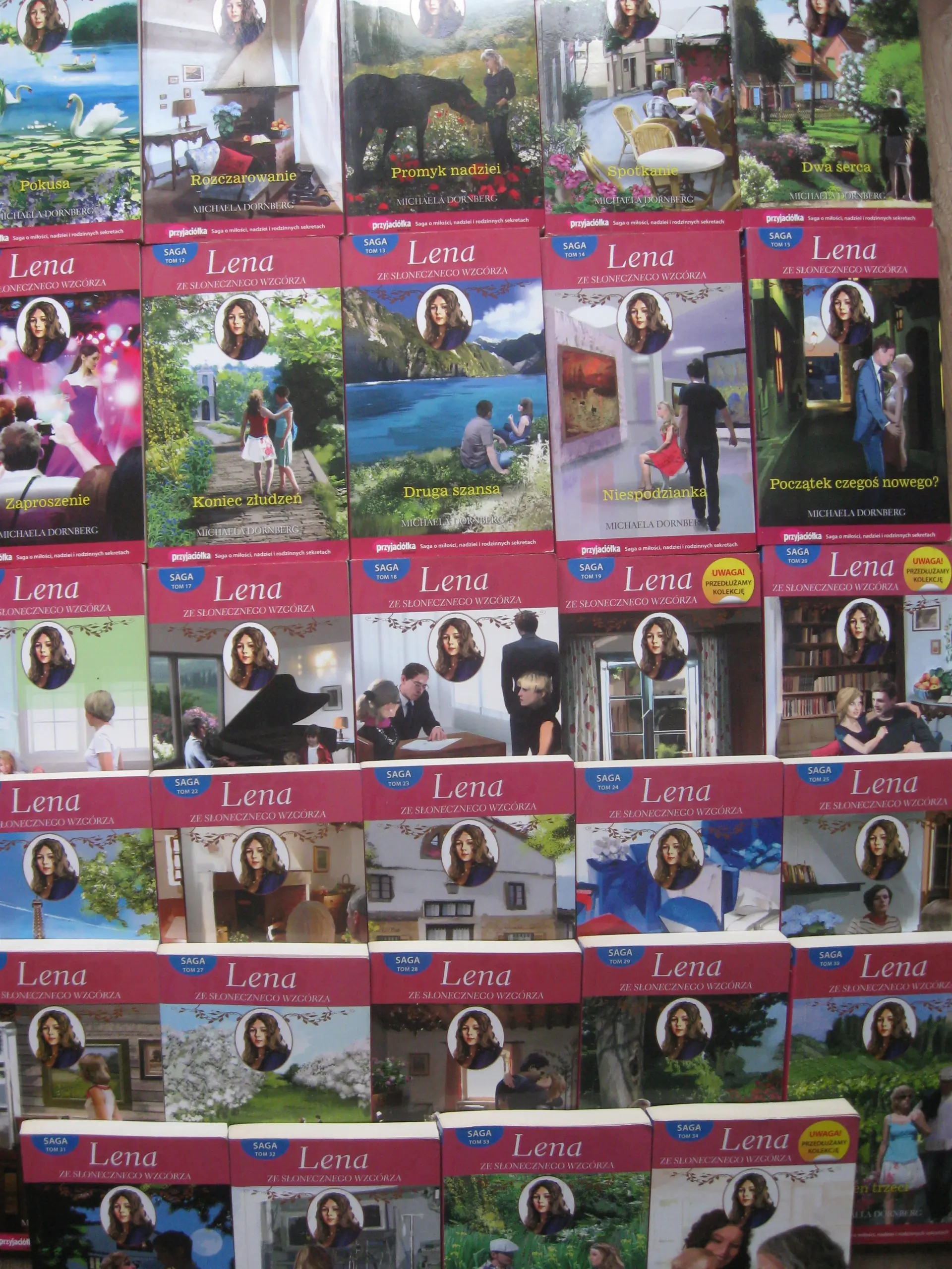 Książka - Lena ze słonecznego wzgórza. Tom 1. Kłopotliwy spadek