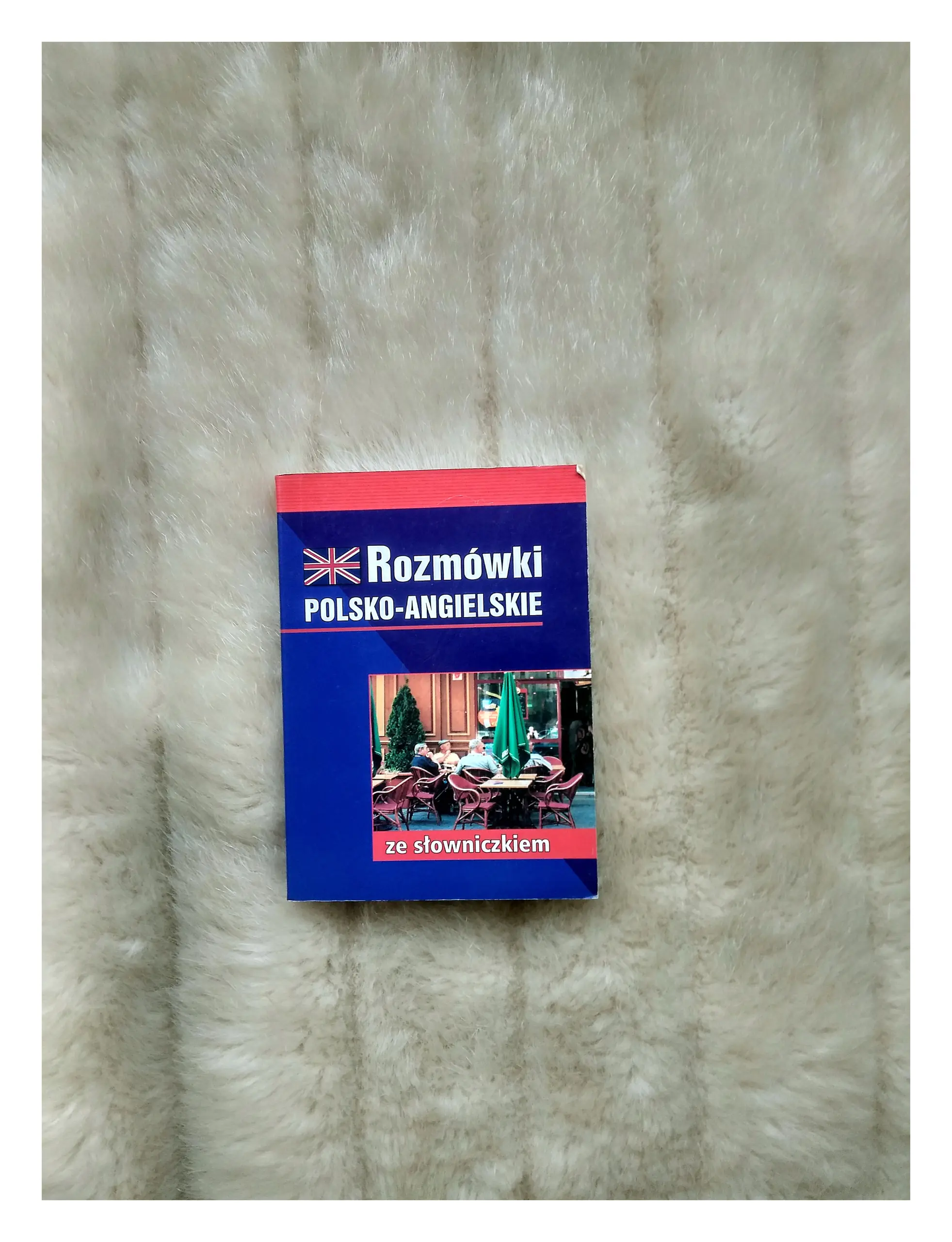 Książka - Rozmówki polsko-angielskie ze słowniczkiem