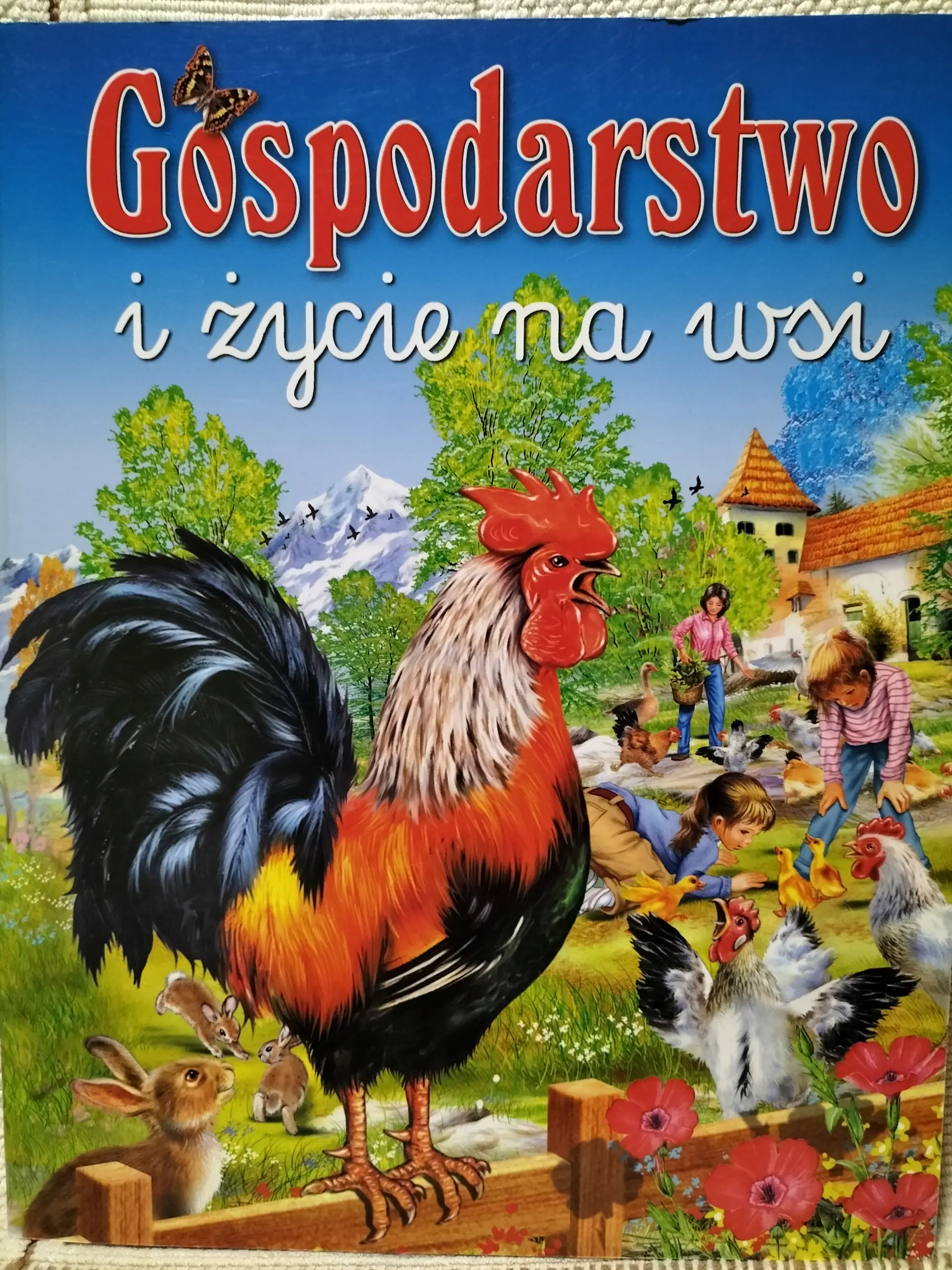 Książka - Gospodarstwo i życie na wsi
