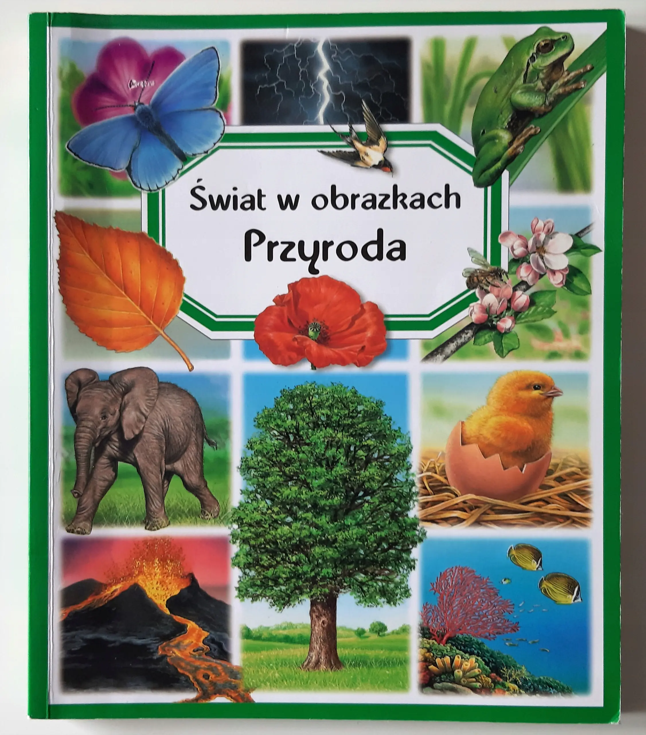 Książka - Świat w obrazkach. Przyroda