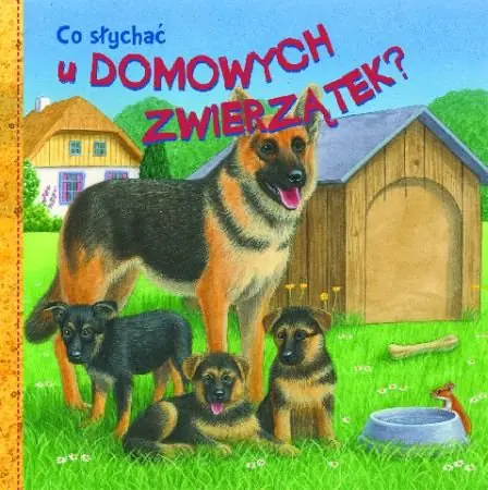 Książka - Co słychać u domowych zwierzątek