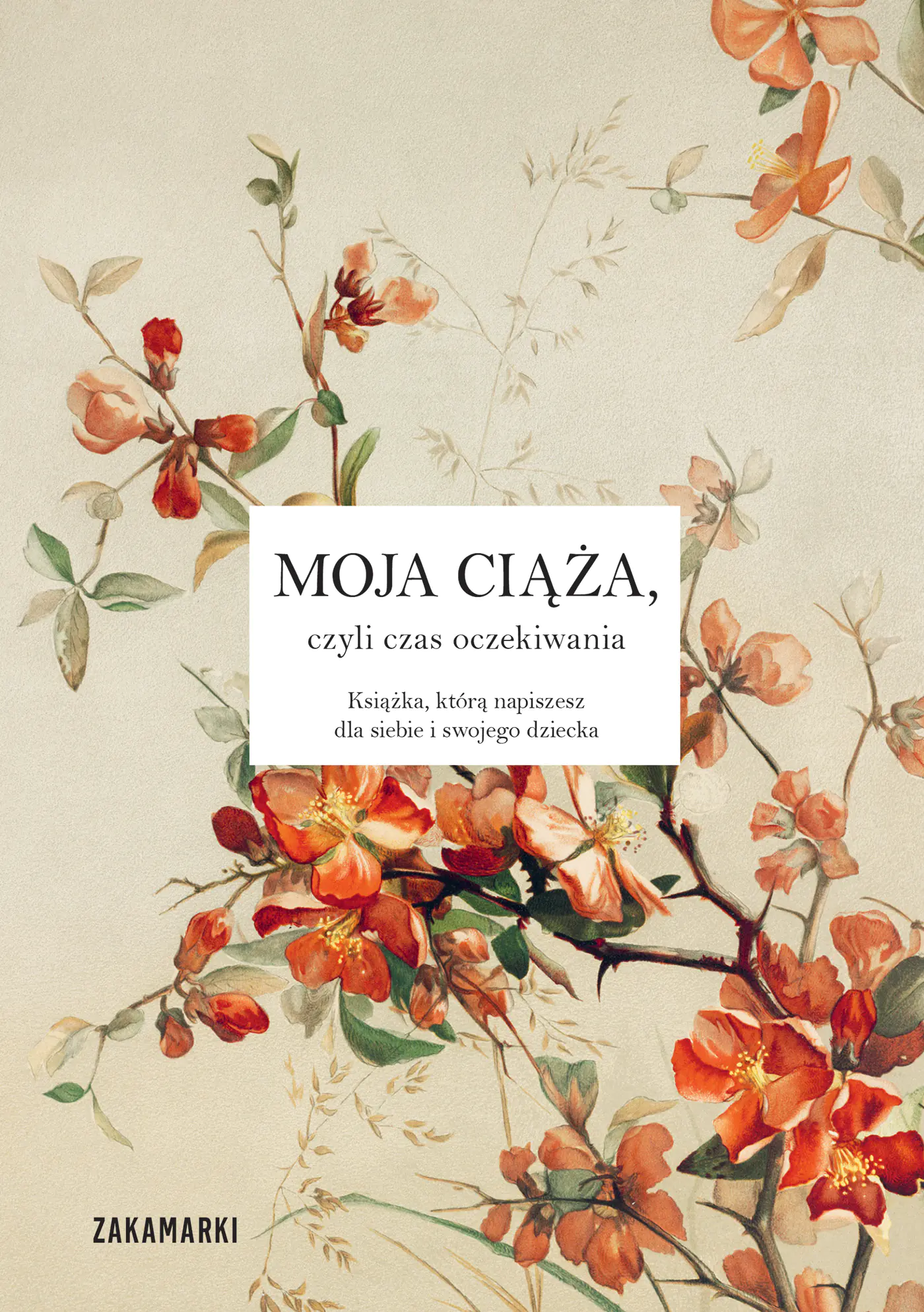Książka - Moja ciąża, czyli czas oczekiwania