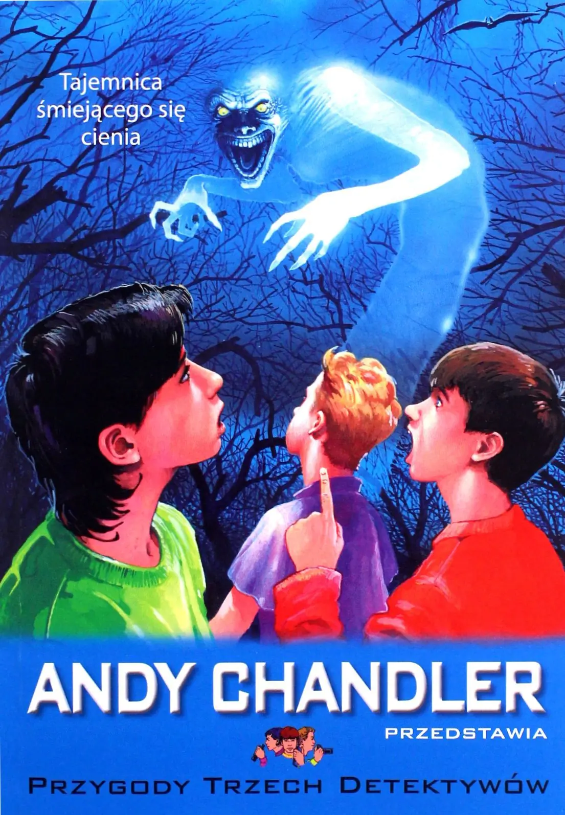 Książka - Tajemnica śmiejącego się cienia