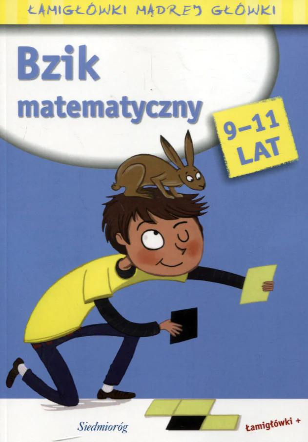 Książka - Bzik matematyczny łamigłówki mądrej główki