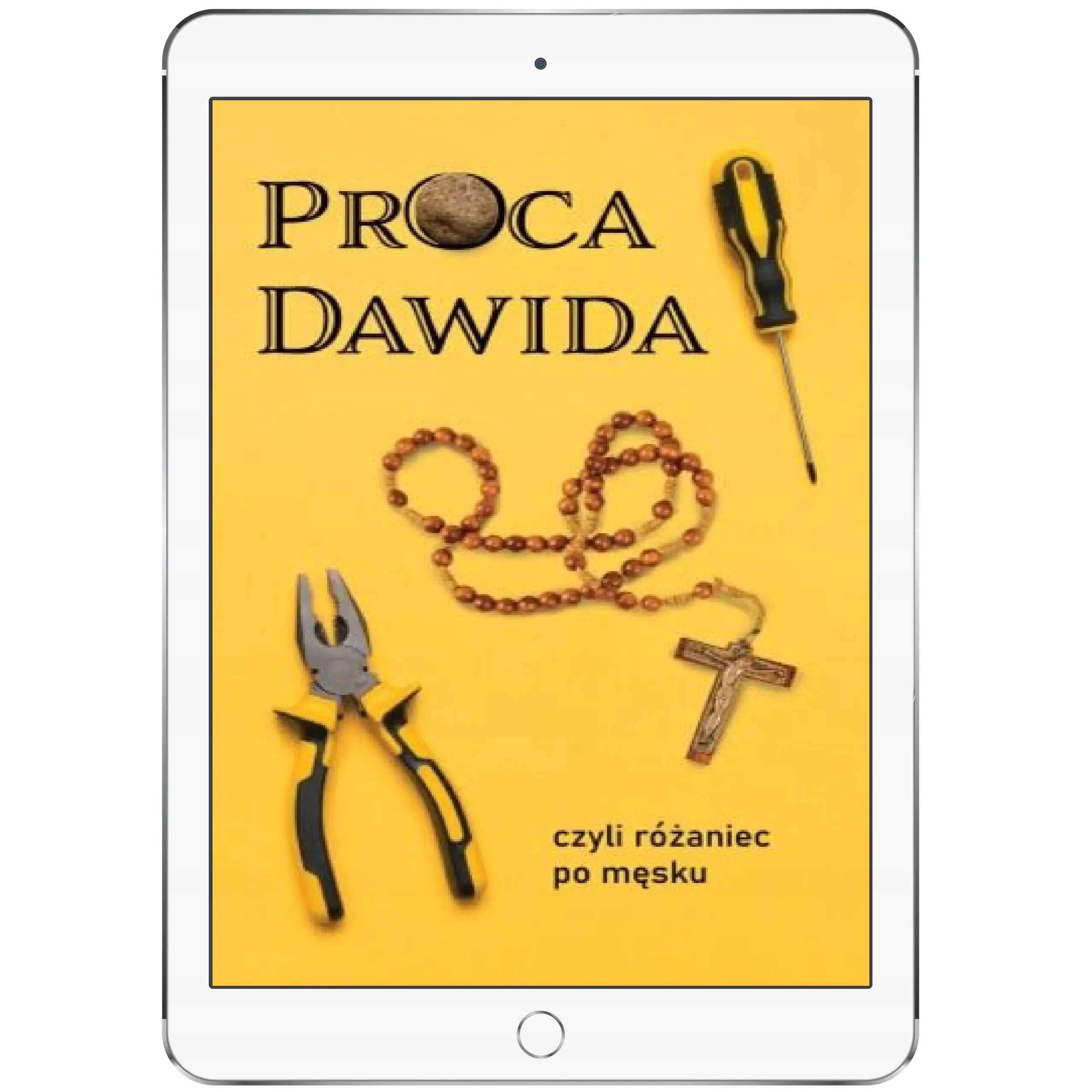 Książka - Proca Dawida