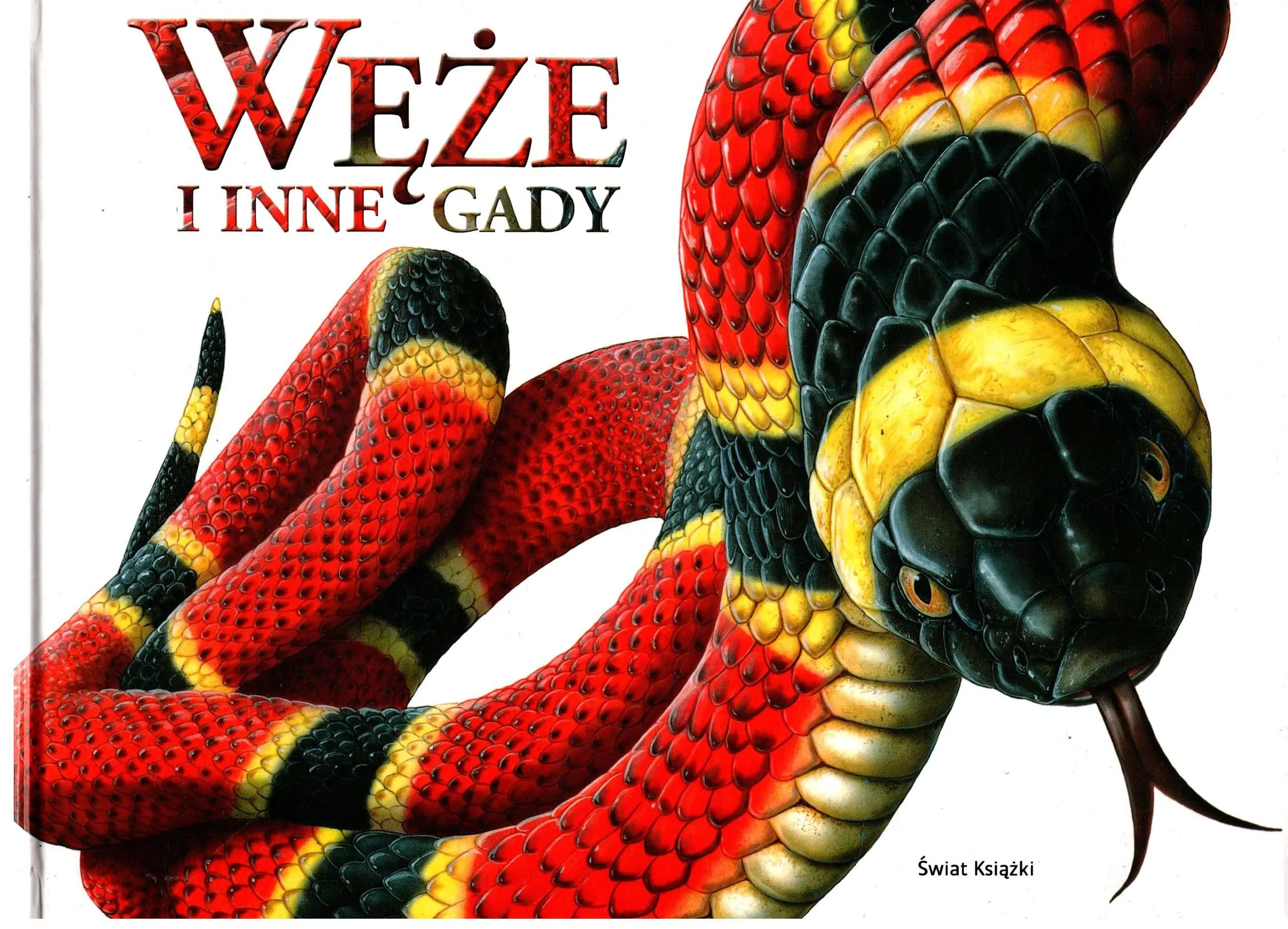 Książka - Węże i inne gady