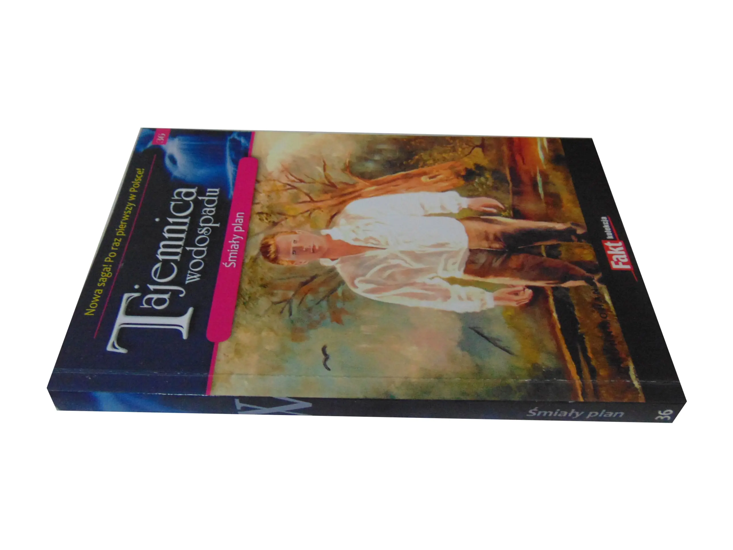 Książka - ŚMIAŁY PLAN