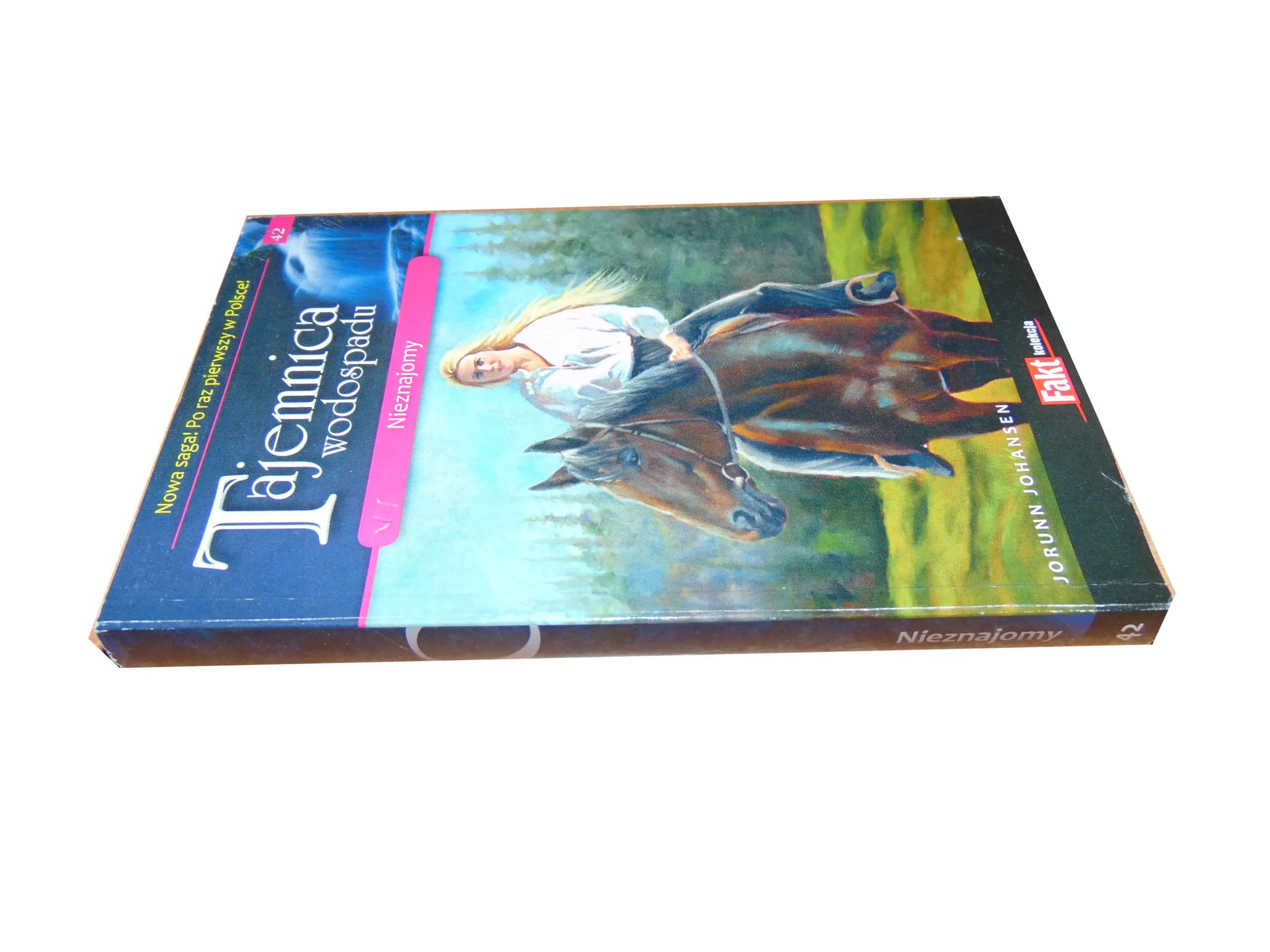 Książka - SAGA TAJEMNICA WODOSPADU NIEZNAJOMY