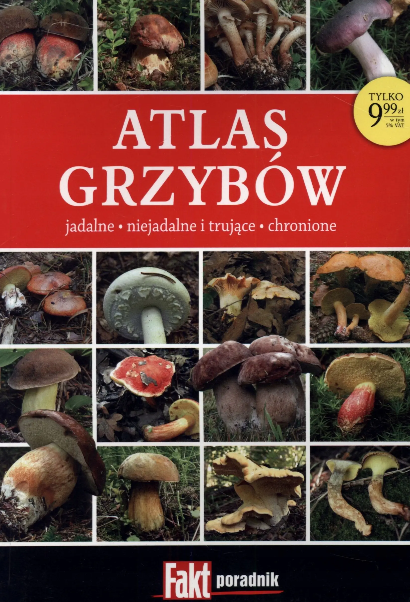 Książka - Fakt Poradnik