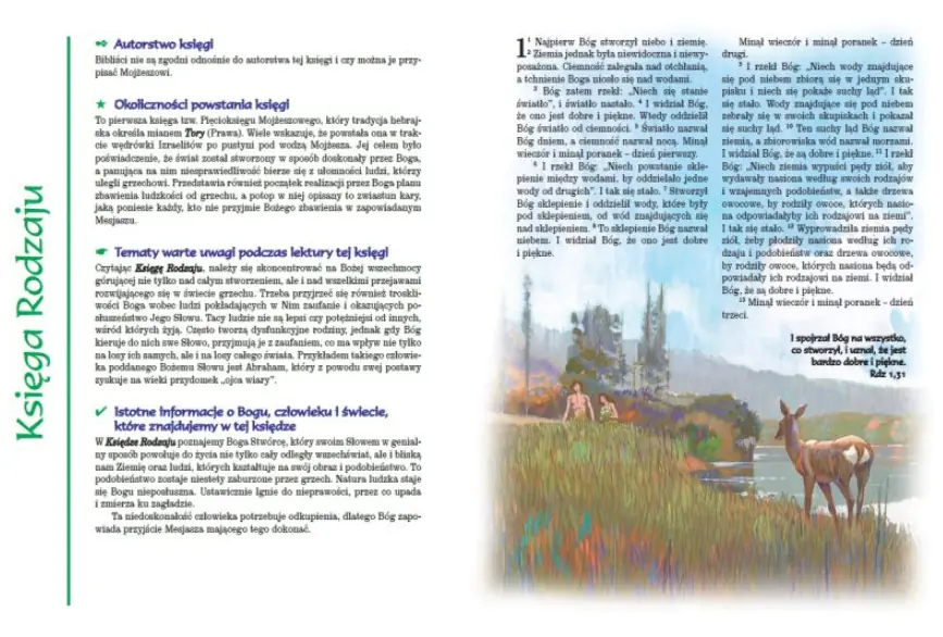 Książka - Ilustrowana Biblia pierwszego Kościoła