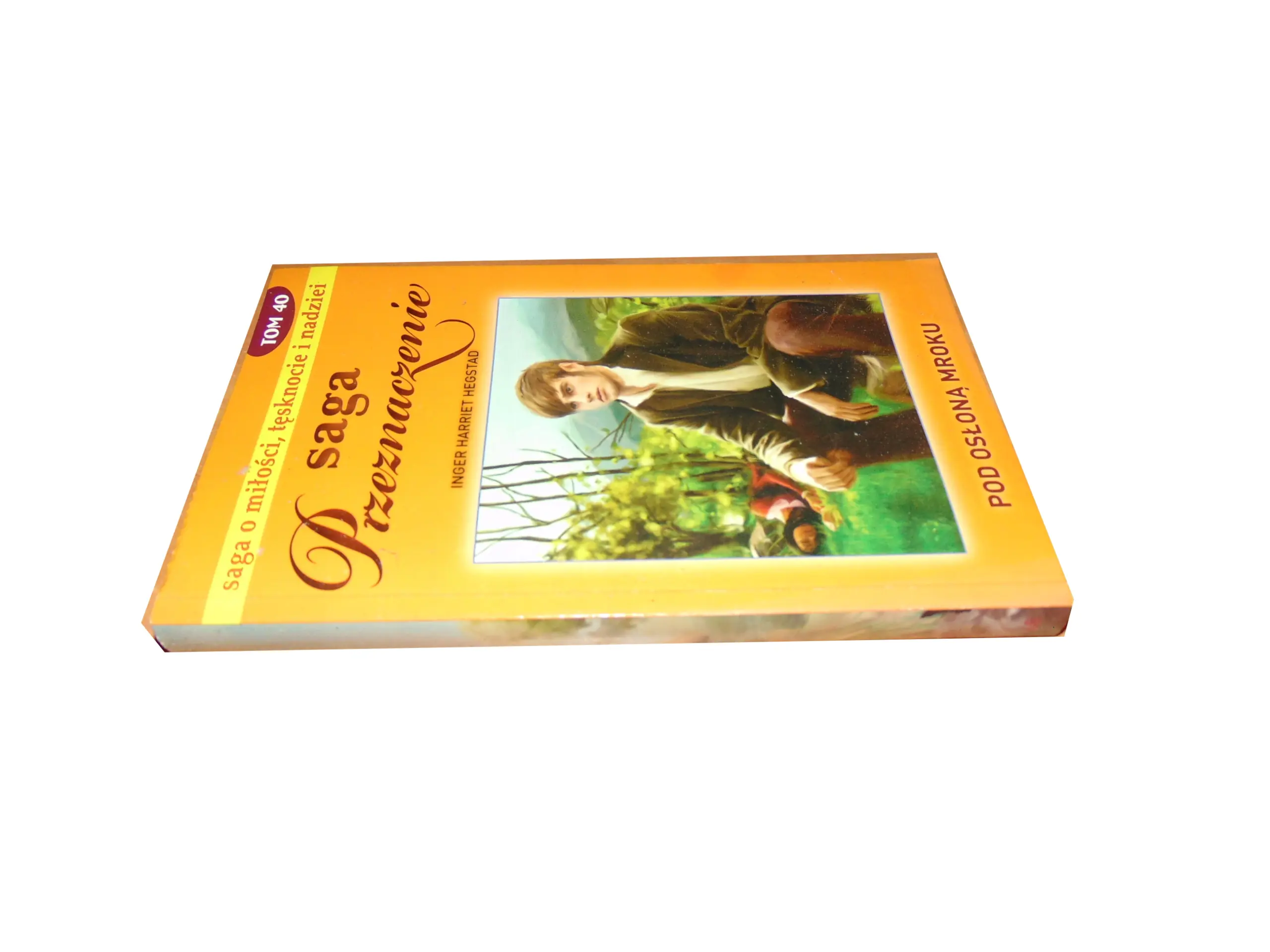 Książka - POD OSŁONĄ MROKU