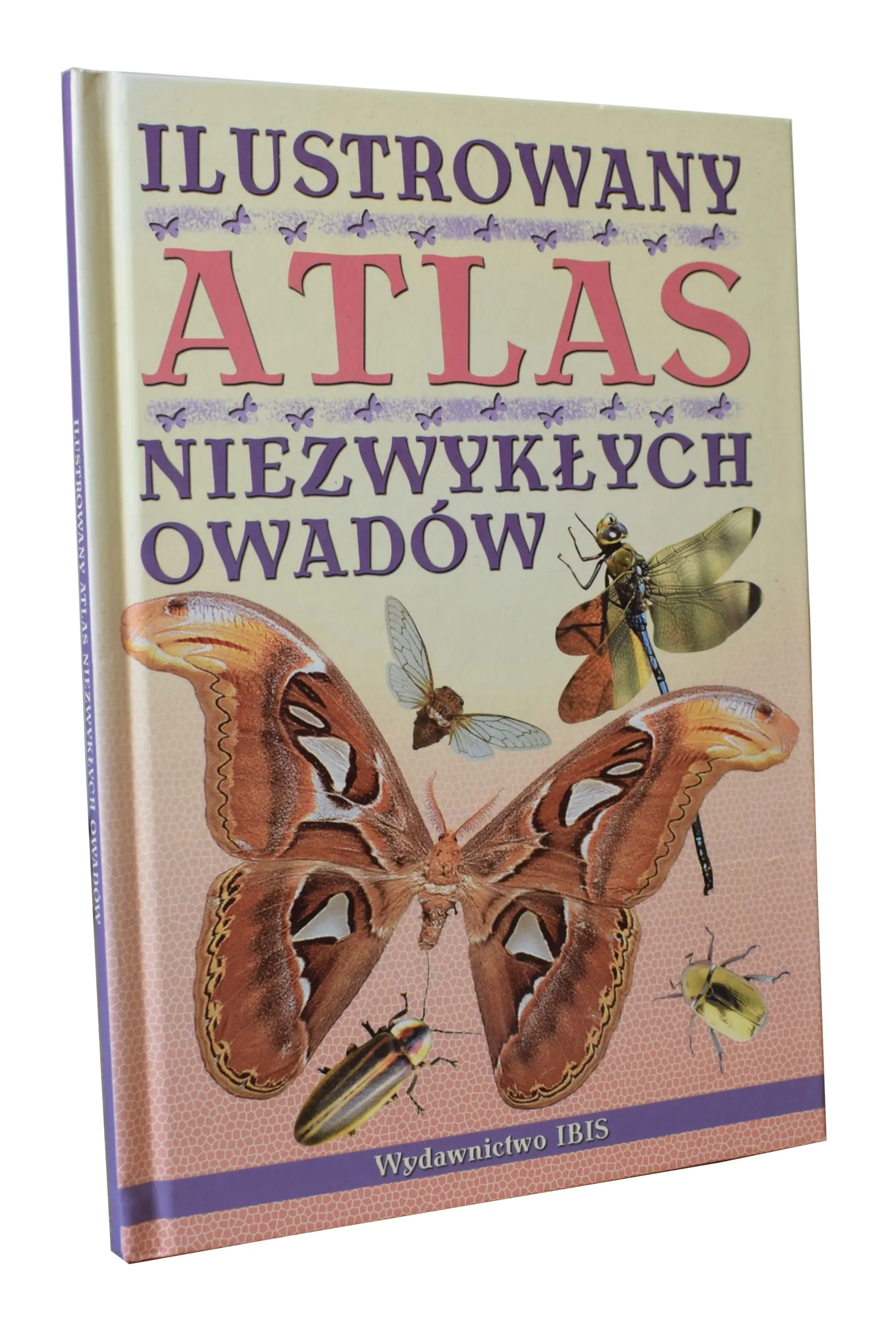 Książka - Ilustrowany atlas niezwykłych owadów