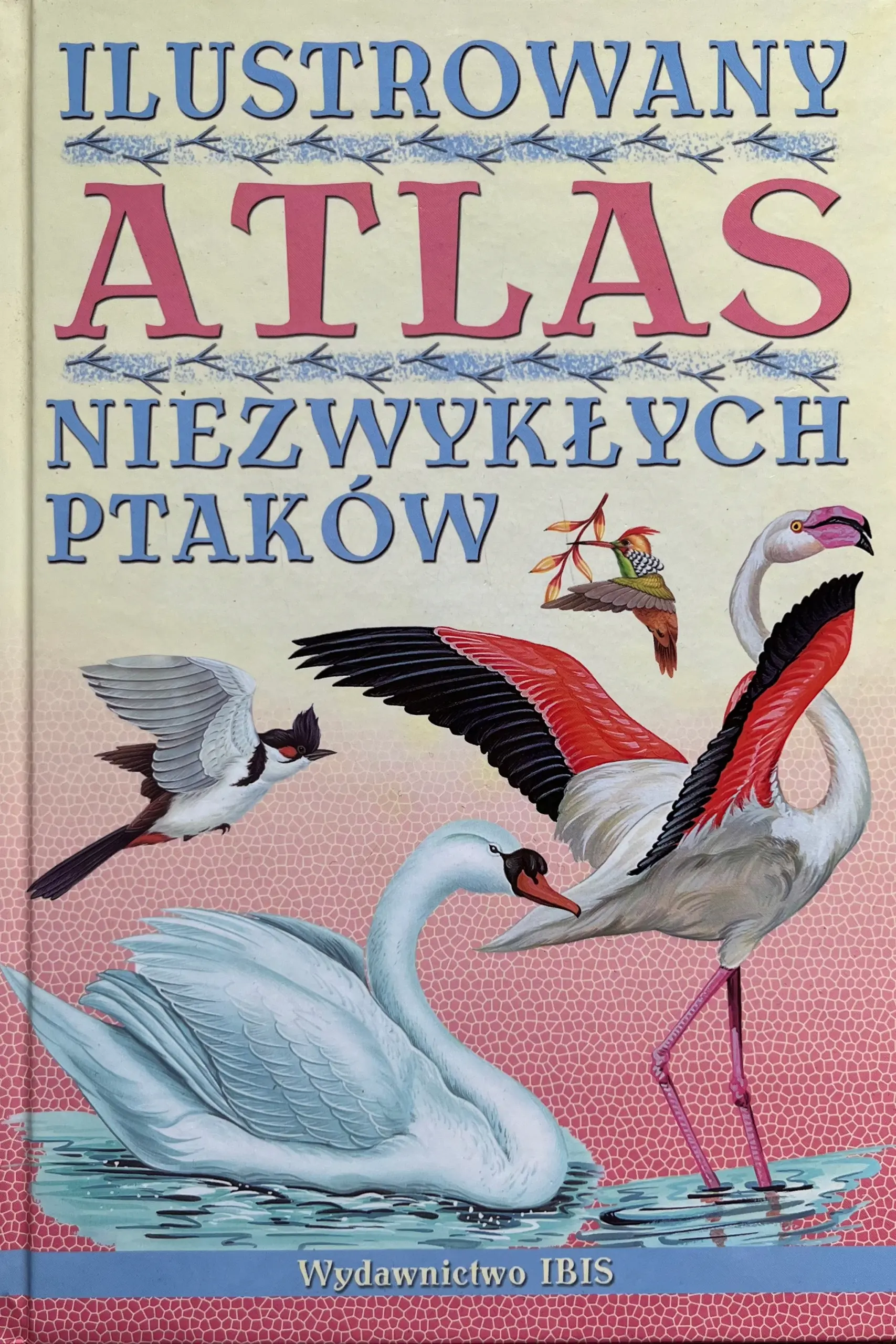 Książka - Ilustrowany atlas niezwykłych ptaków w.2012