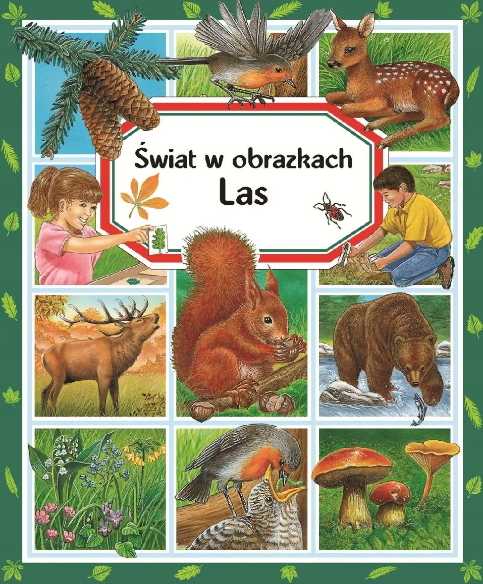 Świat w obrazkach. Las