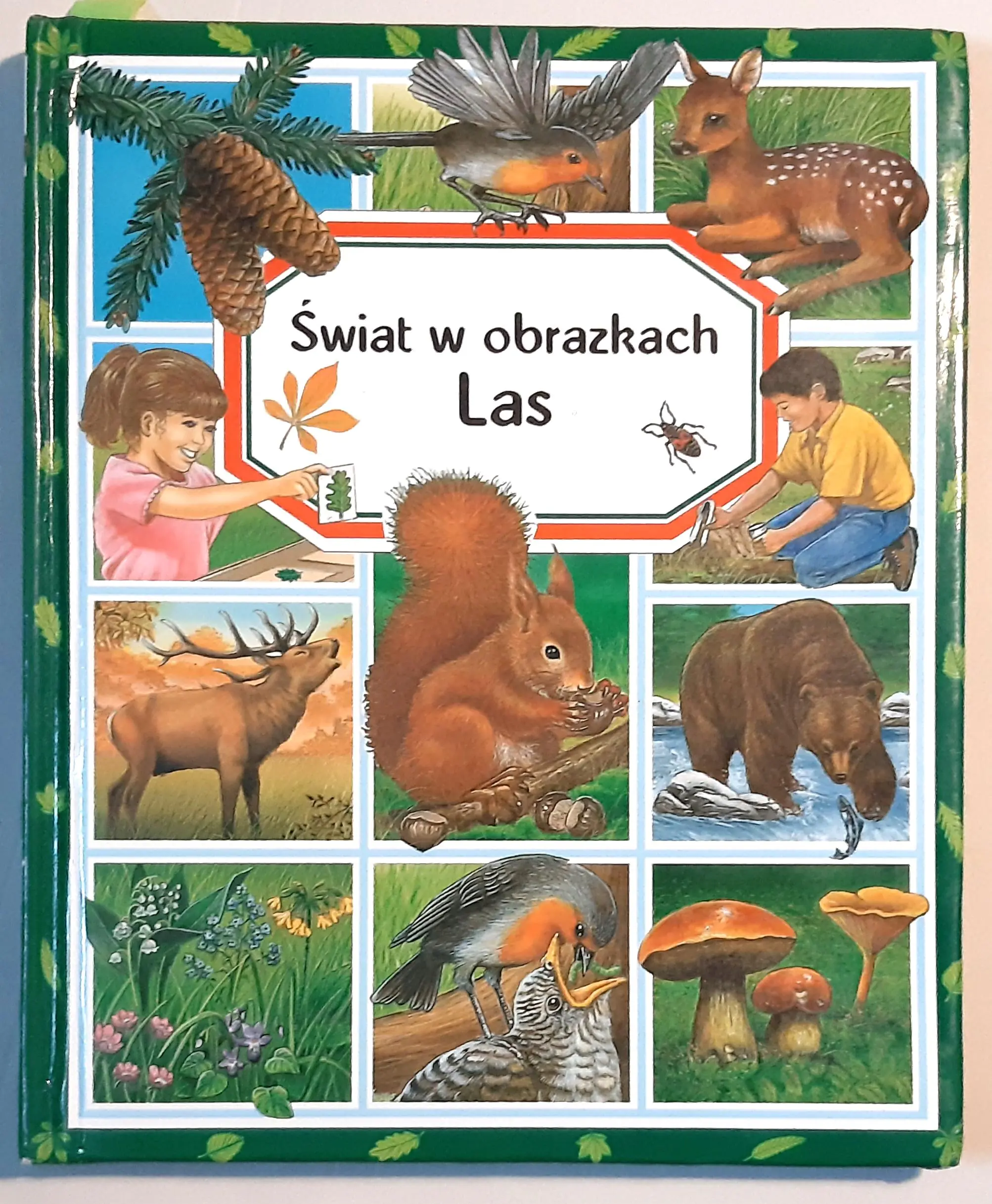 Książka - Las Świat w obrazkach