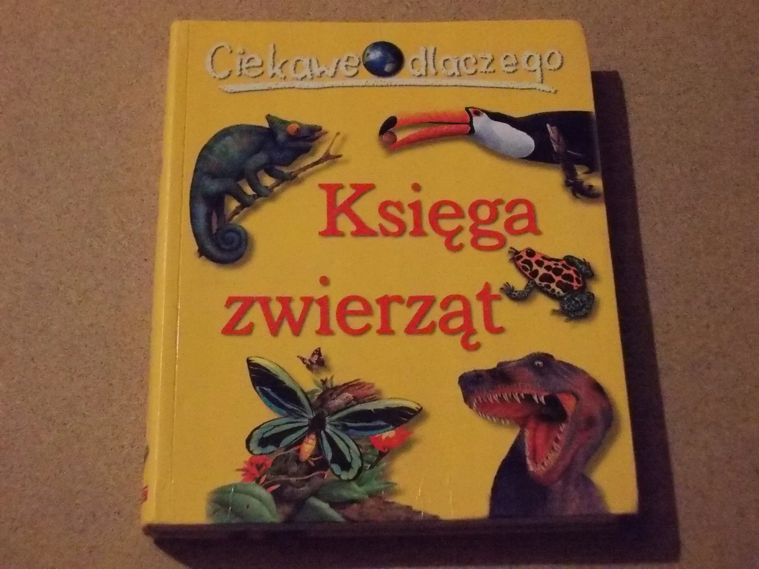 Ciekawe dlaczego. Księga zwierząt