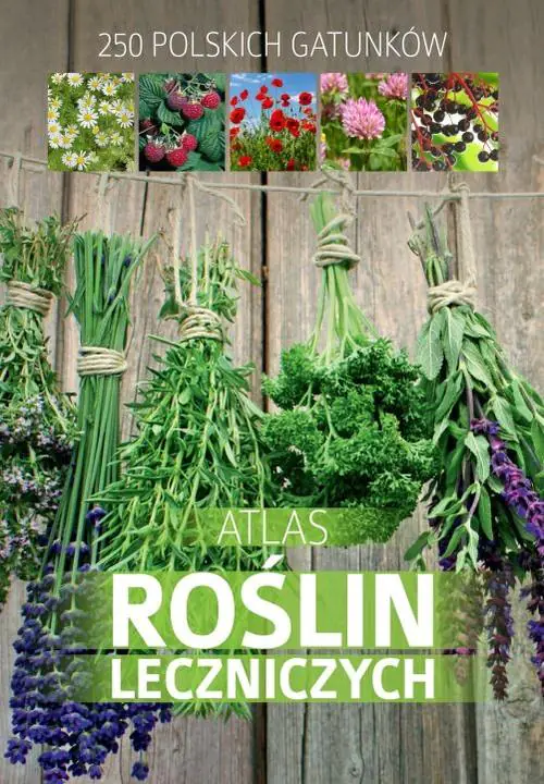 Książka - Atlas roślin leczniczych