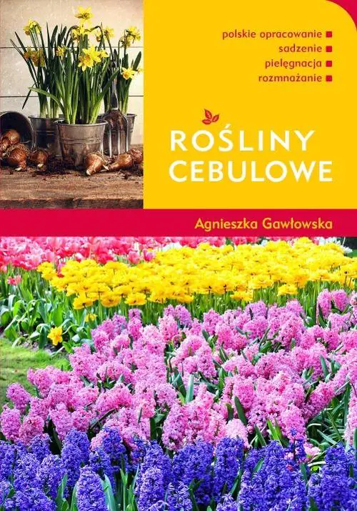 Książka - Rośliny cebulowe