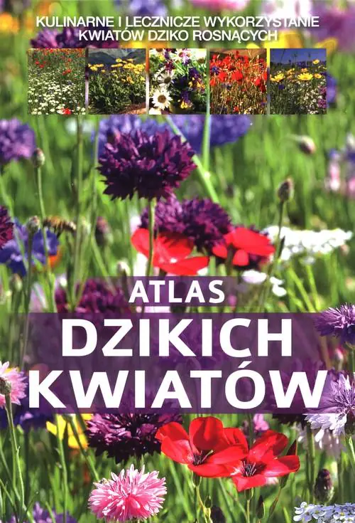 Książka - Atlas dzikich kwiatów