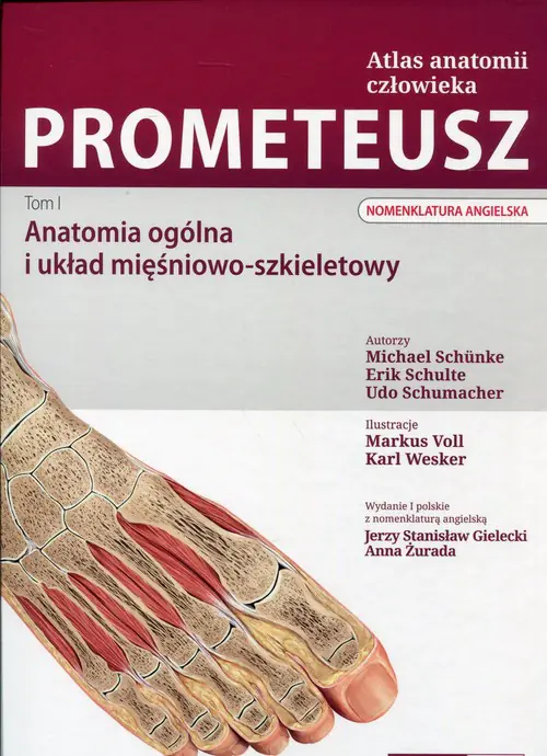 Książka - Prometeusz Atlas anatomii człowieka Tom 1